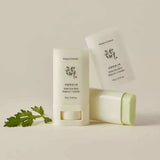 BEAUTY OF JOSEON MATTE SUN STICK: MUGWORT+CAMELIA - 18 ML